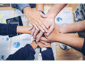 High Performance Teams Inside the Company Course