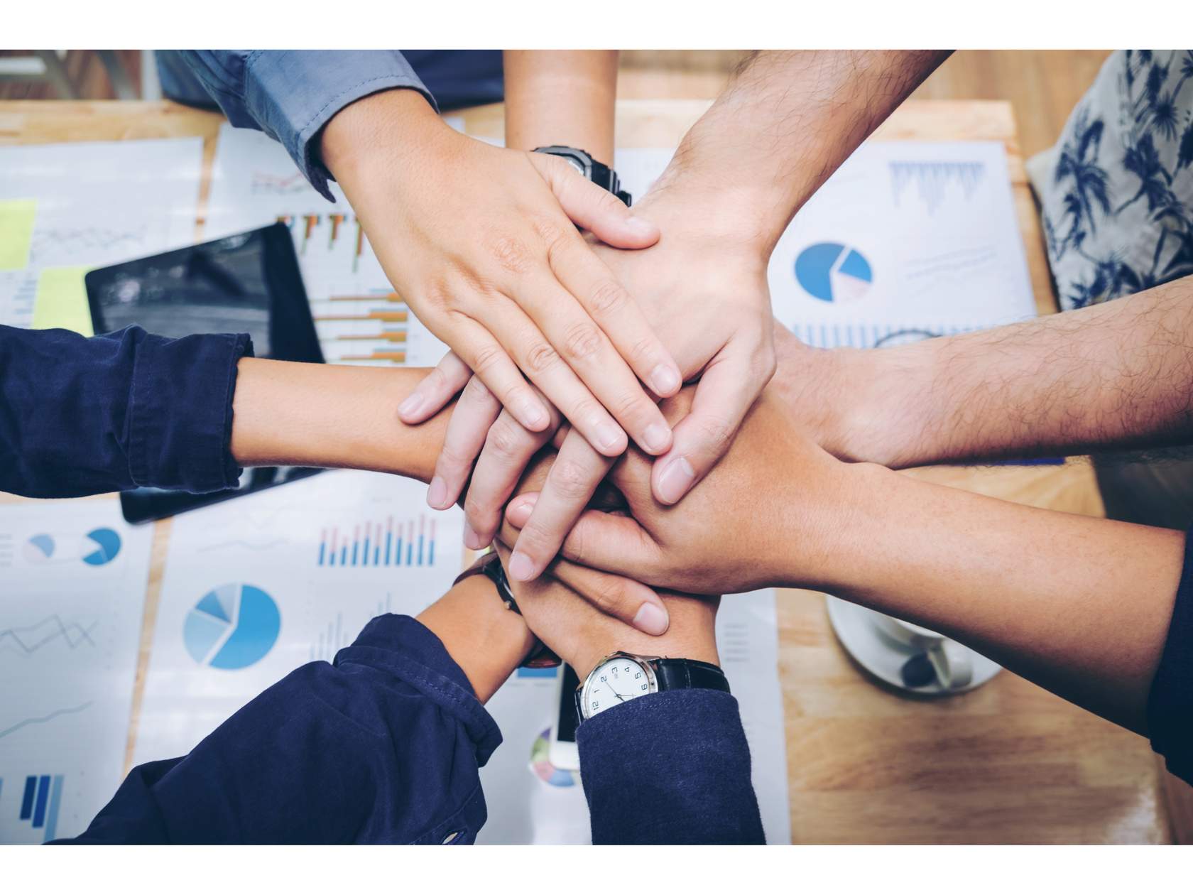 High Performance Teams Inside the Company Course